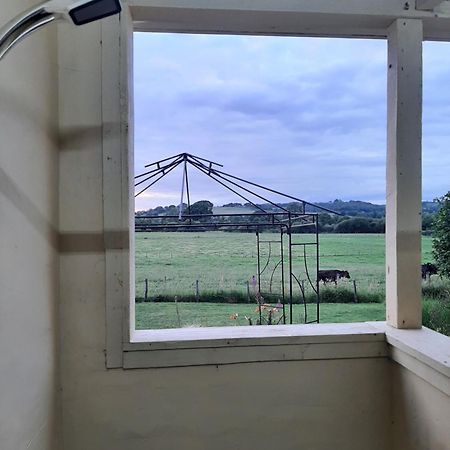 Ferienwohnung Off Grid Rosie Sheperd Hut And Summerhouse Plus 1 Acre At Tanyrallt Llanybyther Exterior foto